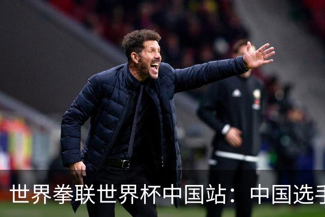 世界拳联世界杯中国站：中国选手斩获5金